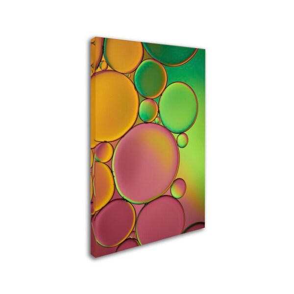 Cora Niele 'Green And Orange Drops' Canvas Art,22x32